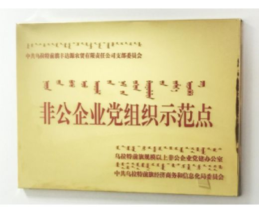 豐達(dá)源黨支部