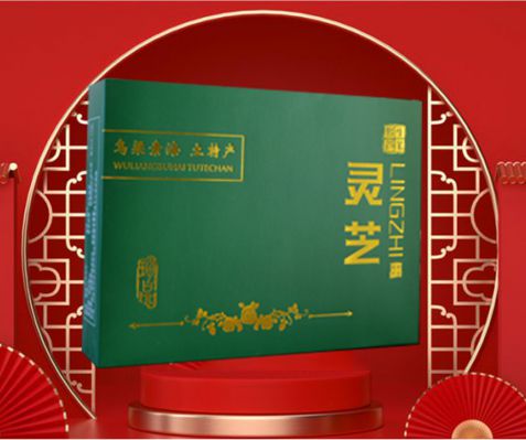 靈芝
